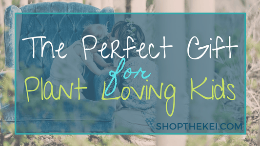 Eco friendly Gifts for Kids - Shop The Kei