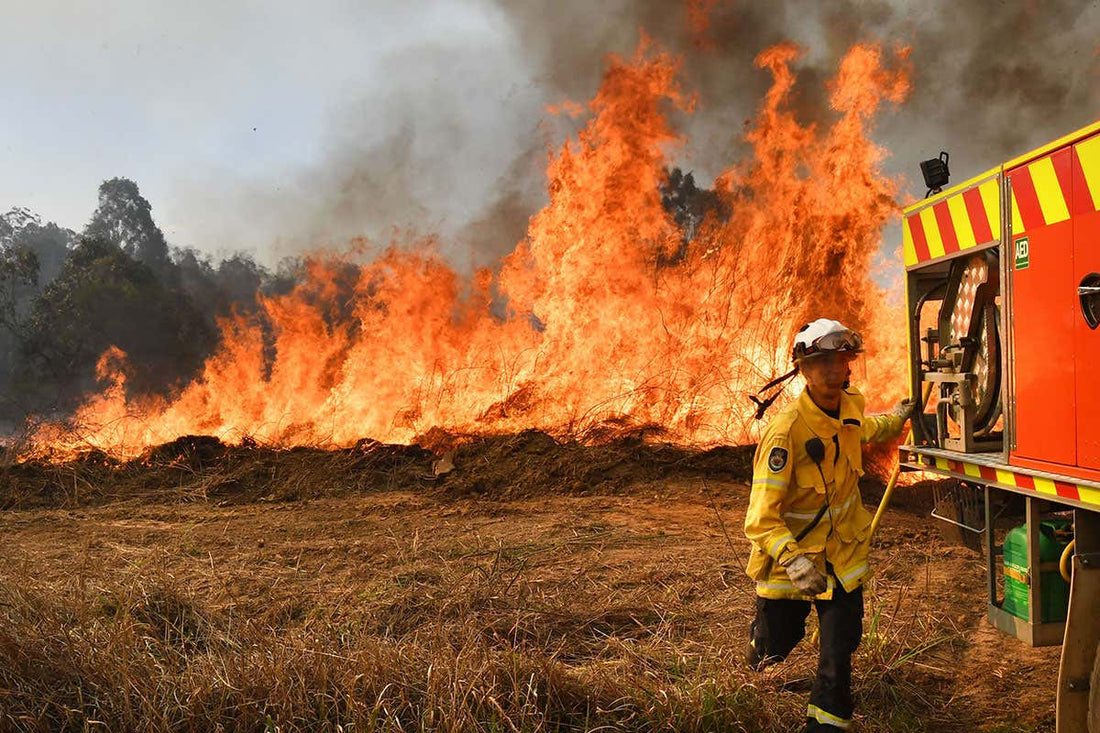 Our Planet is on Fire - Shop The Kei