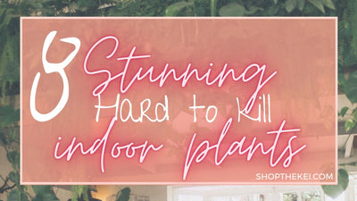 The easiest indoor plants